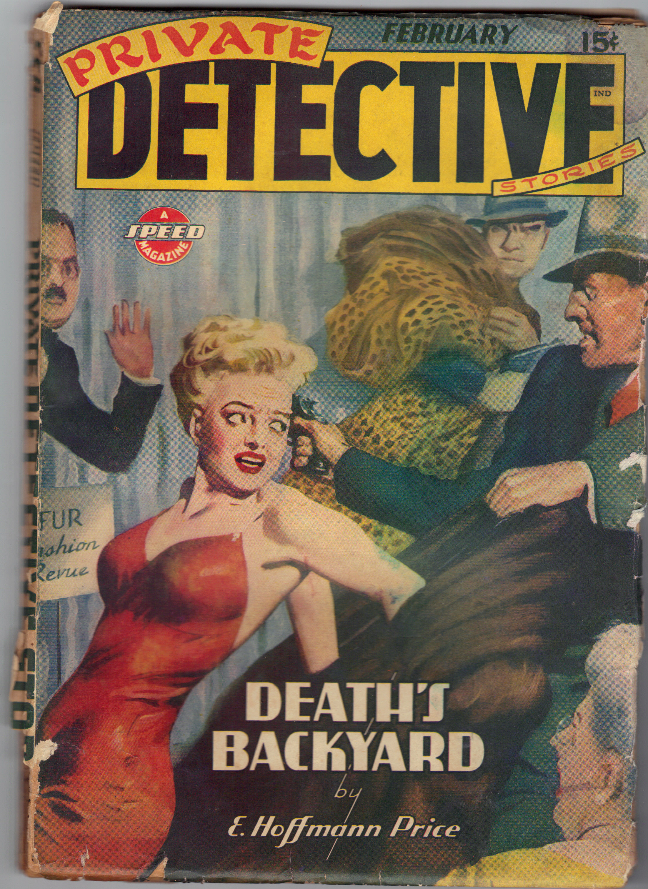 Image for PRIVATE DETECTIVE Stories