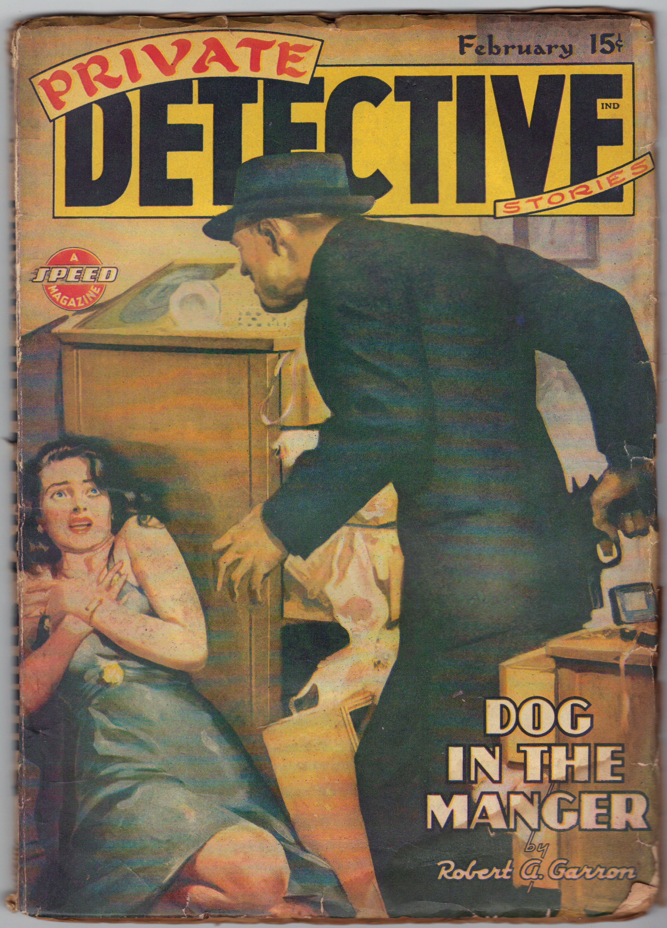 Image for PRIVATE DETECTIVE Stories