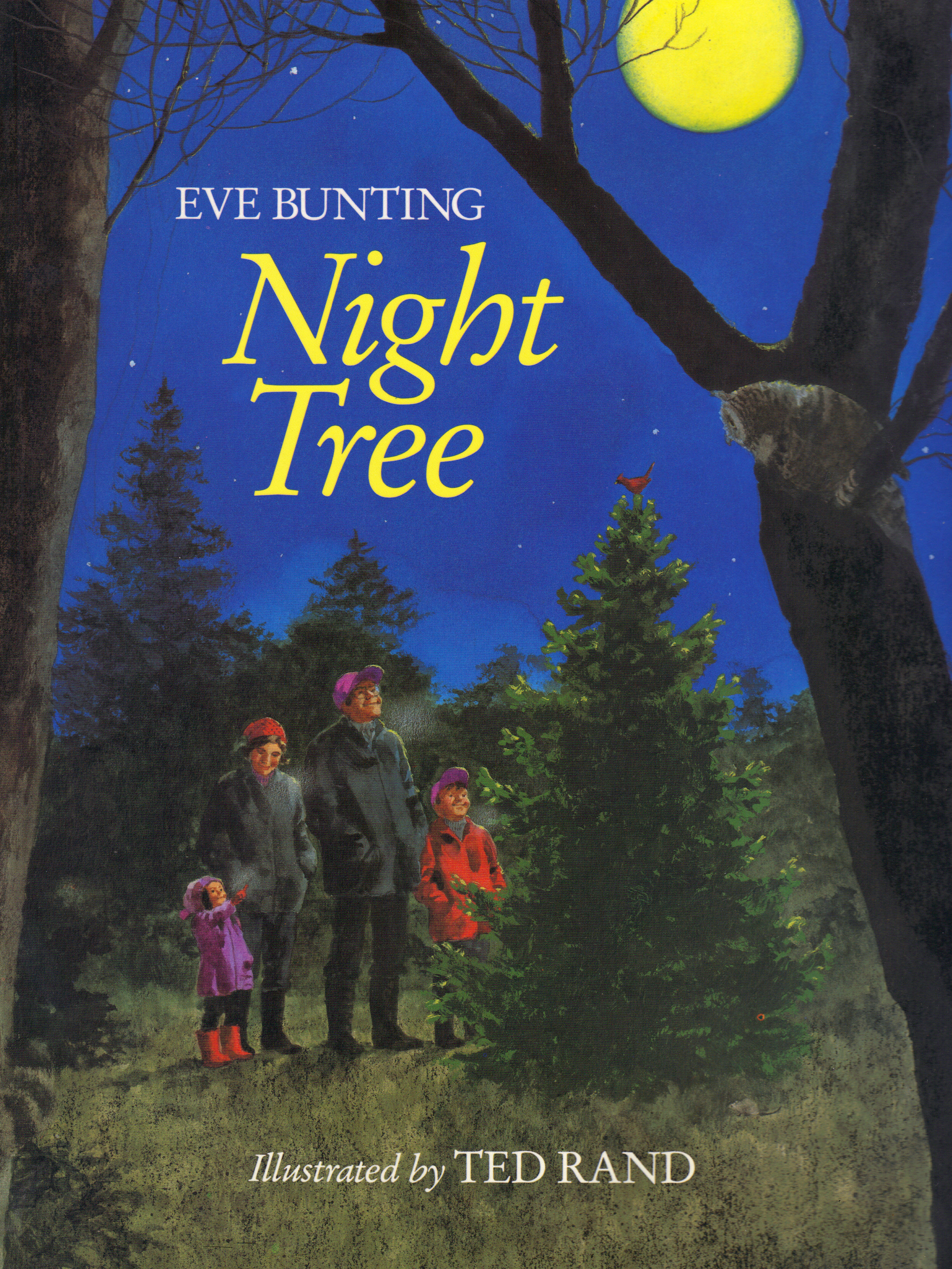 Image for NIGHT TREE