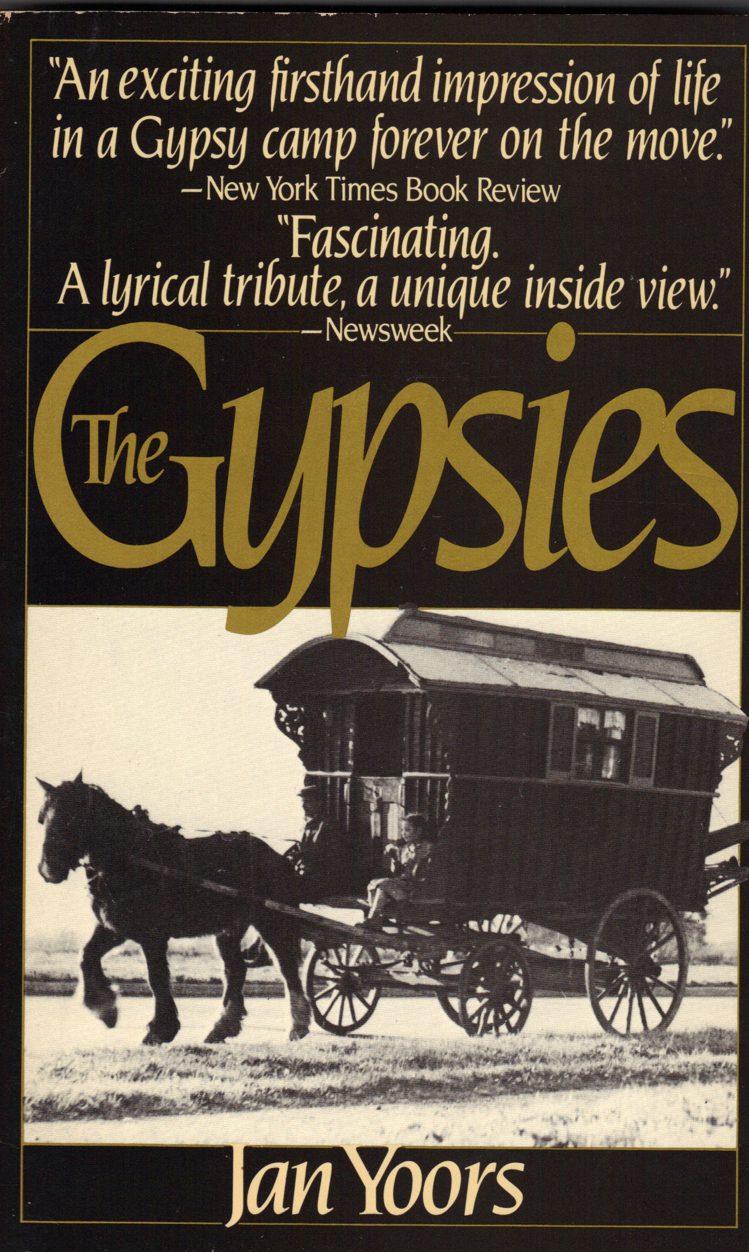 Image for GYPSIES