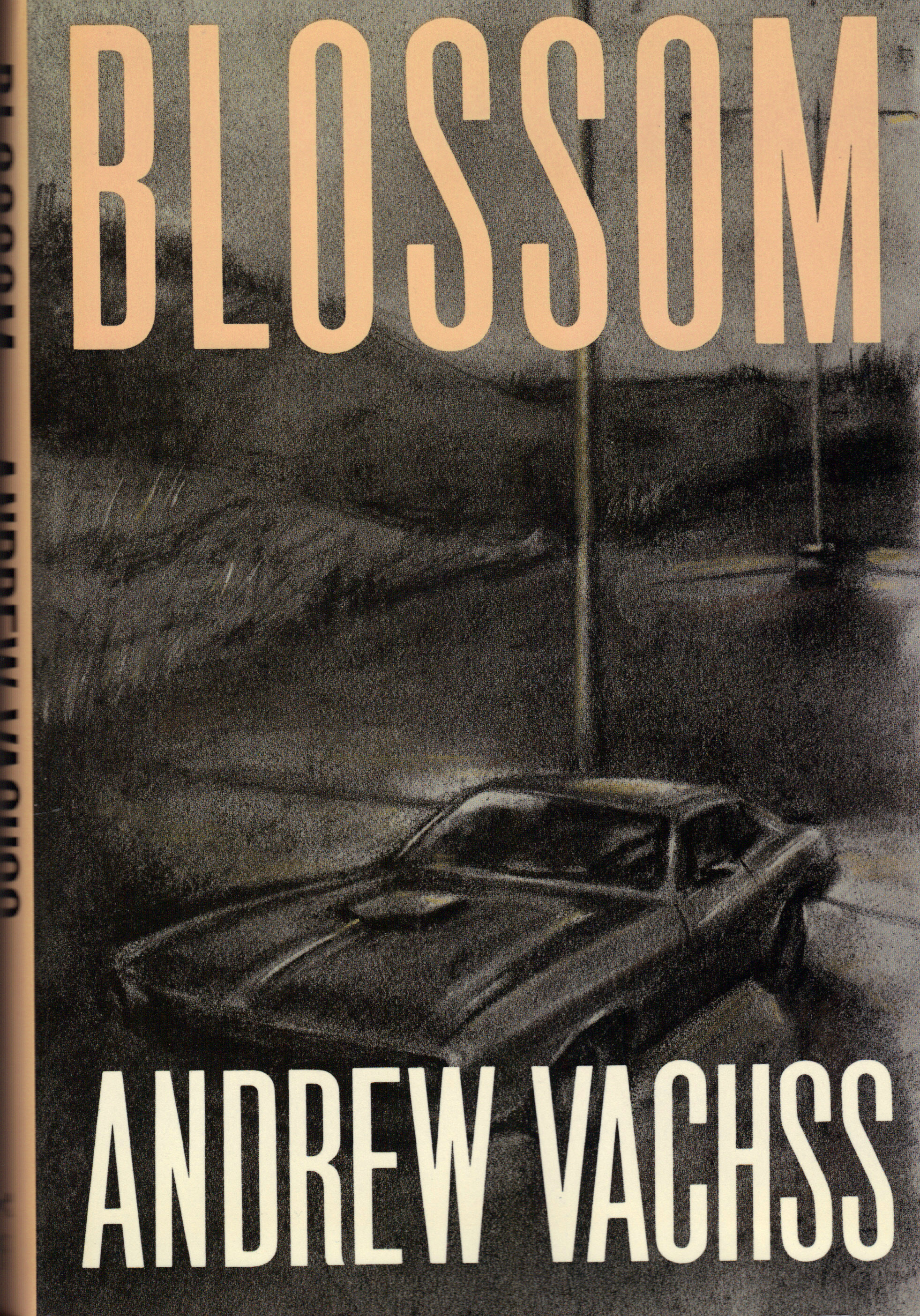 Image for BLOSSOM