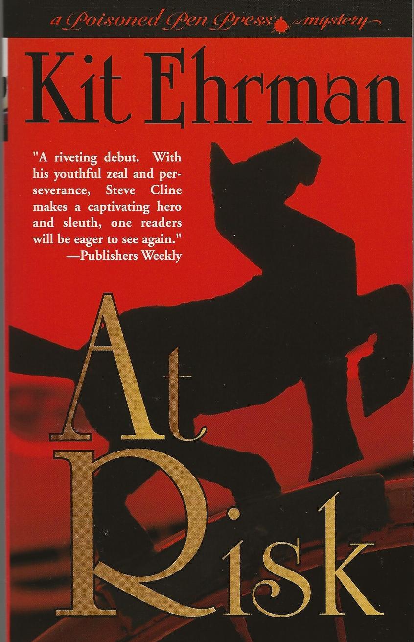 Image for AT RISK