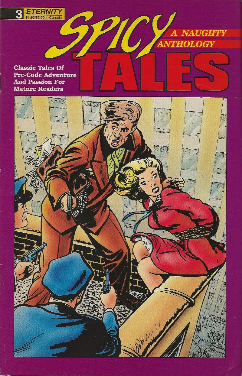 Image for SPICY TALES 3 ~ A Naughty Anthology
